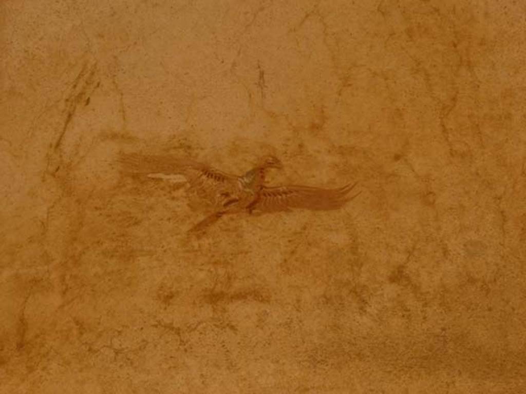 Oplontis, May 2011. Portico 40, painted wall decoration. Photo courtesy of Michael Binns