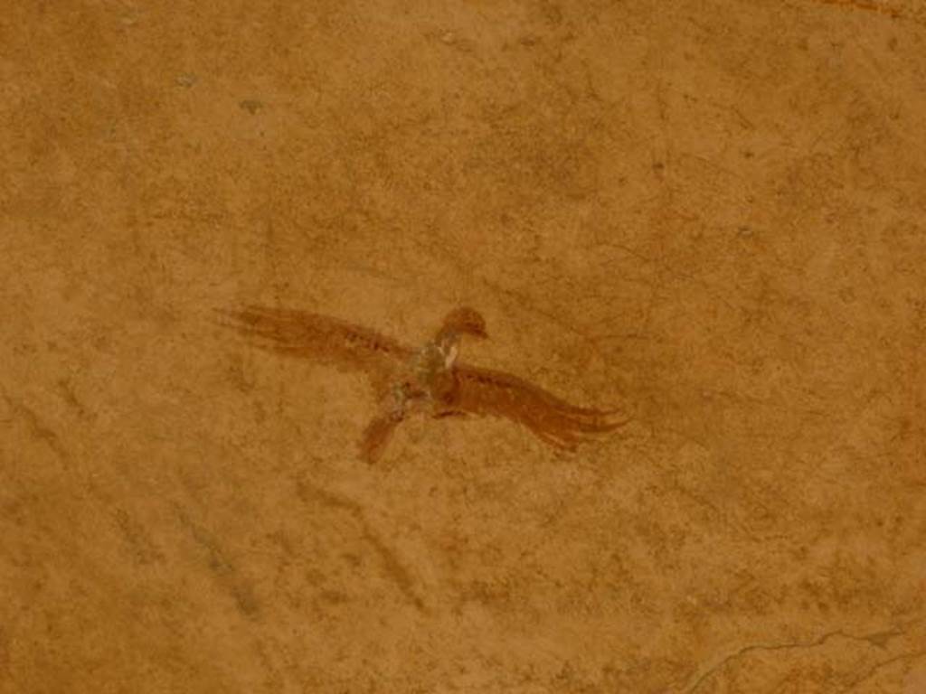 Oplontis, May 2011. Portico 40, painted wall decoration. Photo courtesy of Michael Binns