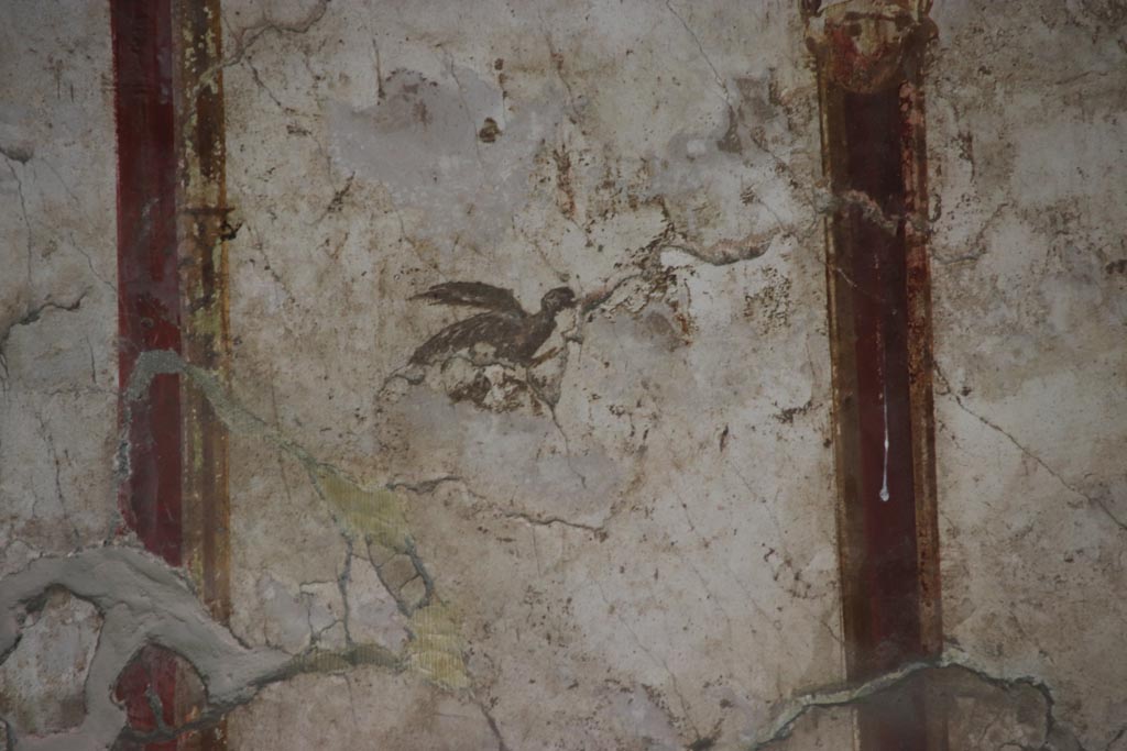Oplontis Villa of Poppea, May 2024.
Room 41, detail of painted bird from upper west wall of alcove, on right. Photo courtesy of Klaus Heese.
