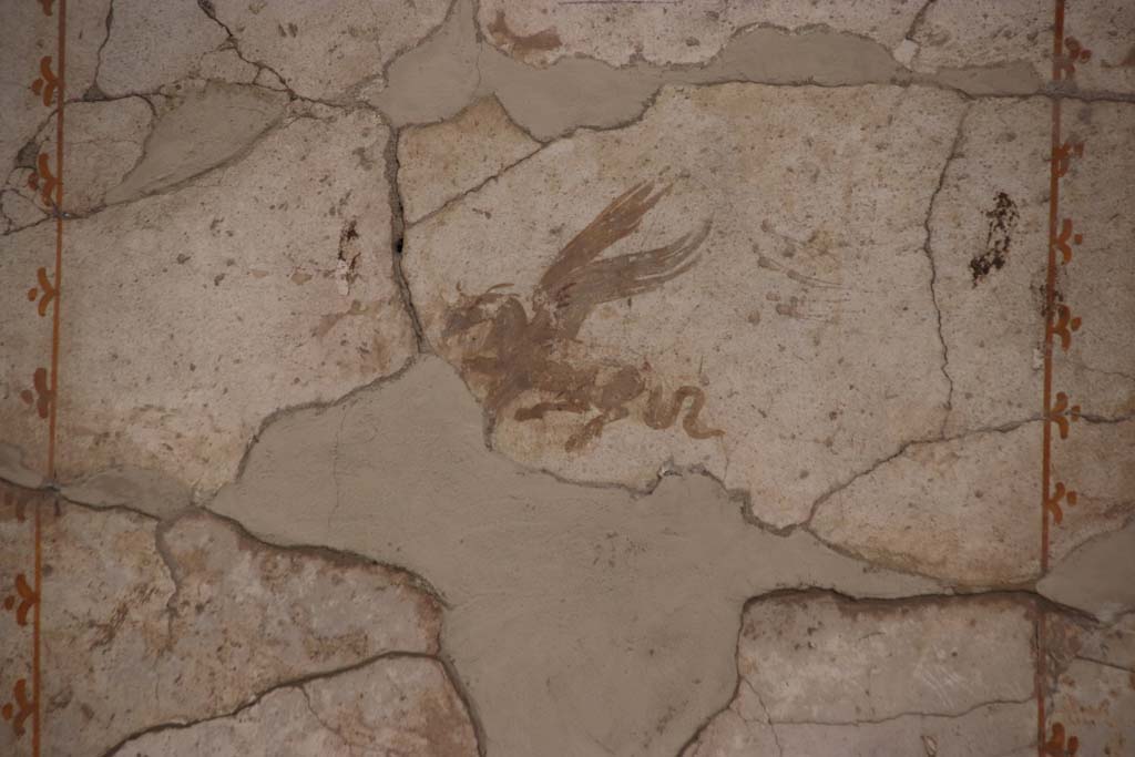 Oplontis Villa of Poppea, September 2021.
Room 41, detail of painted decoration from centre of upper north wall of alcove. Photo courtesy of Klaus Heese.