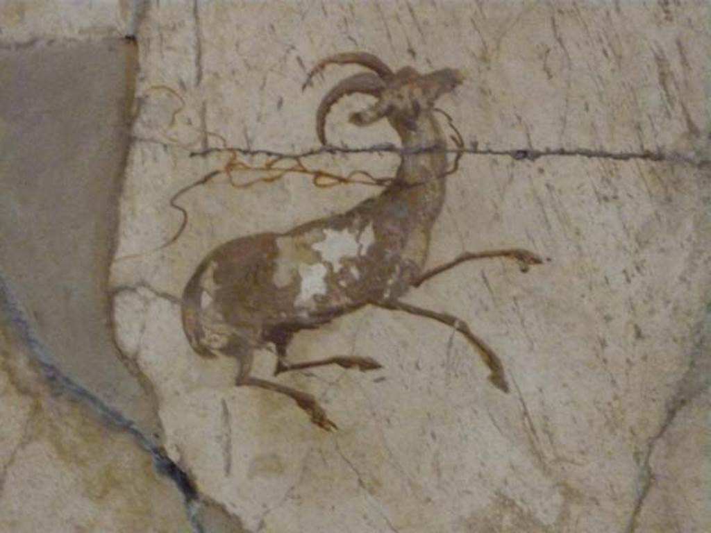 Oplontis, May 2010. Room 41, detail of painted goat from east wall of alcove. Photo courtesy of Buzz Ferebee.