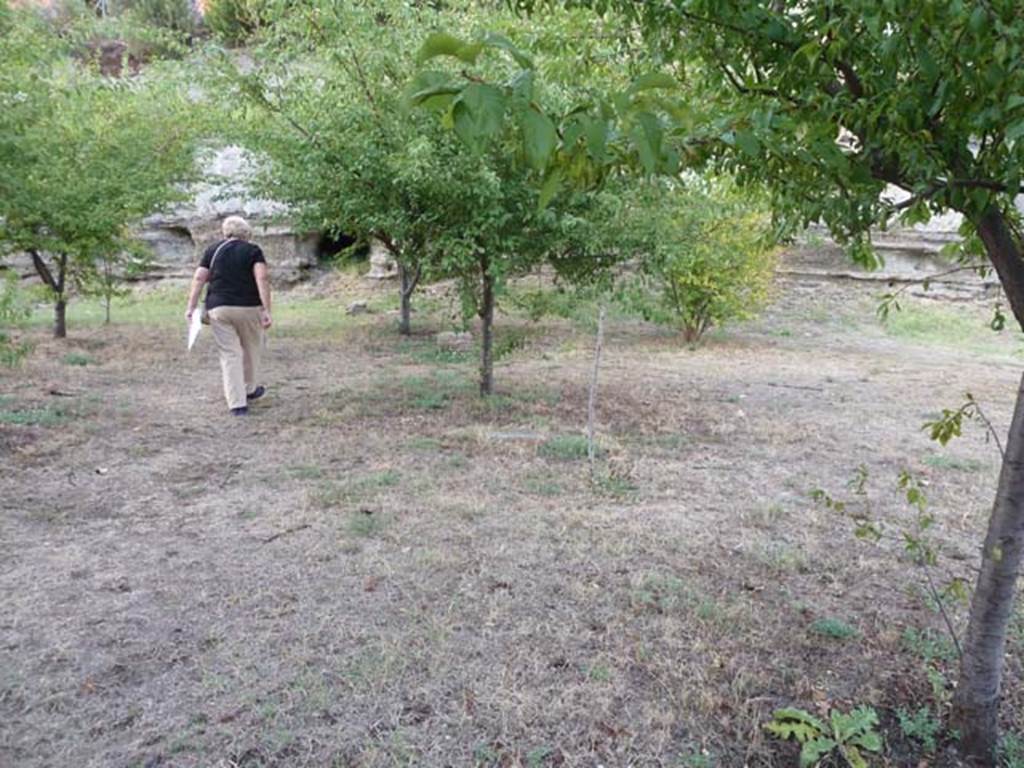 Oplontis Villa of Poppea, September 2015. Looking north-west in the north garden 56 along the diagonal path with two masonry bases.