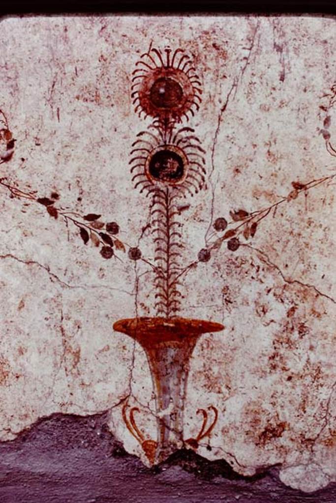 Oplontis, 1977. Area 60, white wall of the portico facing the pool, painted urn on north side of doorway to room 75. 
Photo by Stanley A. Jashemski.  
Source: The Wilhelmina and Stanley A. Jashemski archive in the University of Maryland Library, Special Collections (See collection page) and made available under the Creative Commons Attribution-Non Commercial License v.4. See Licence and use details.
J77f0136
