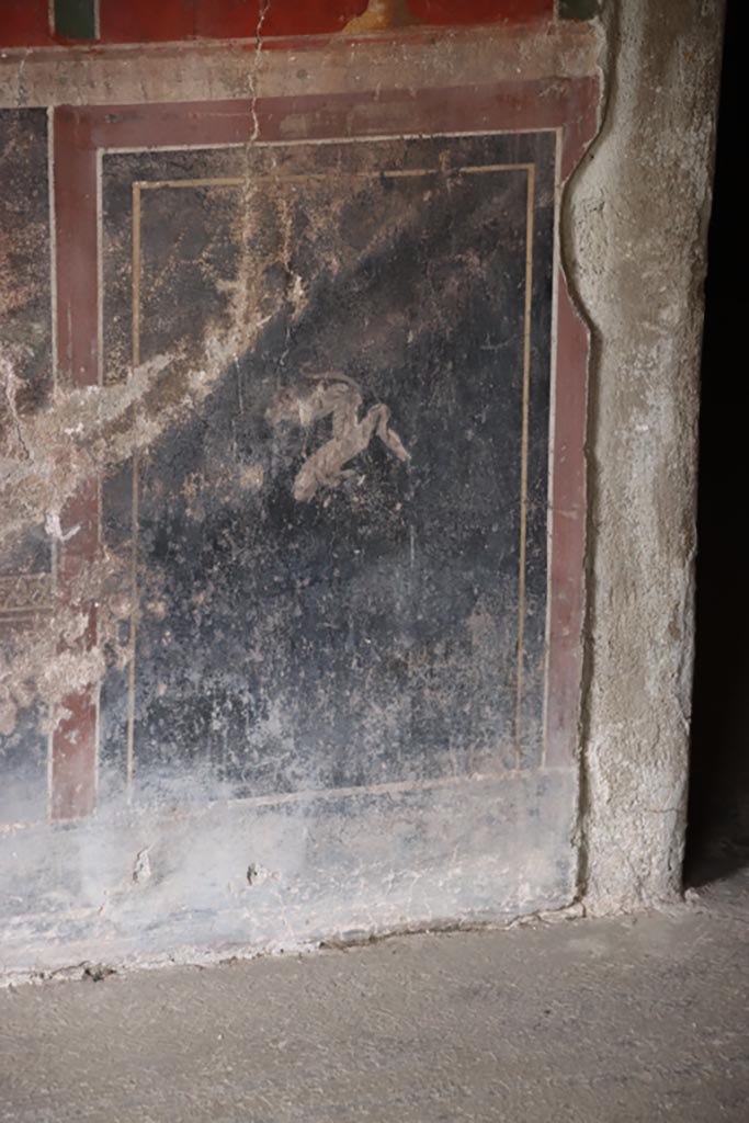 Oplontis Villa of Poppea, May 2024. 
Room 66, detail of painted decoration on zoccolo of south wall. Photo courtesy of Klaus Heese.
