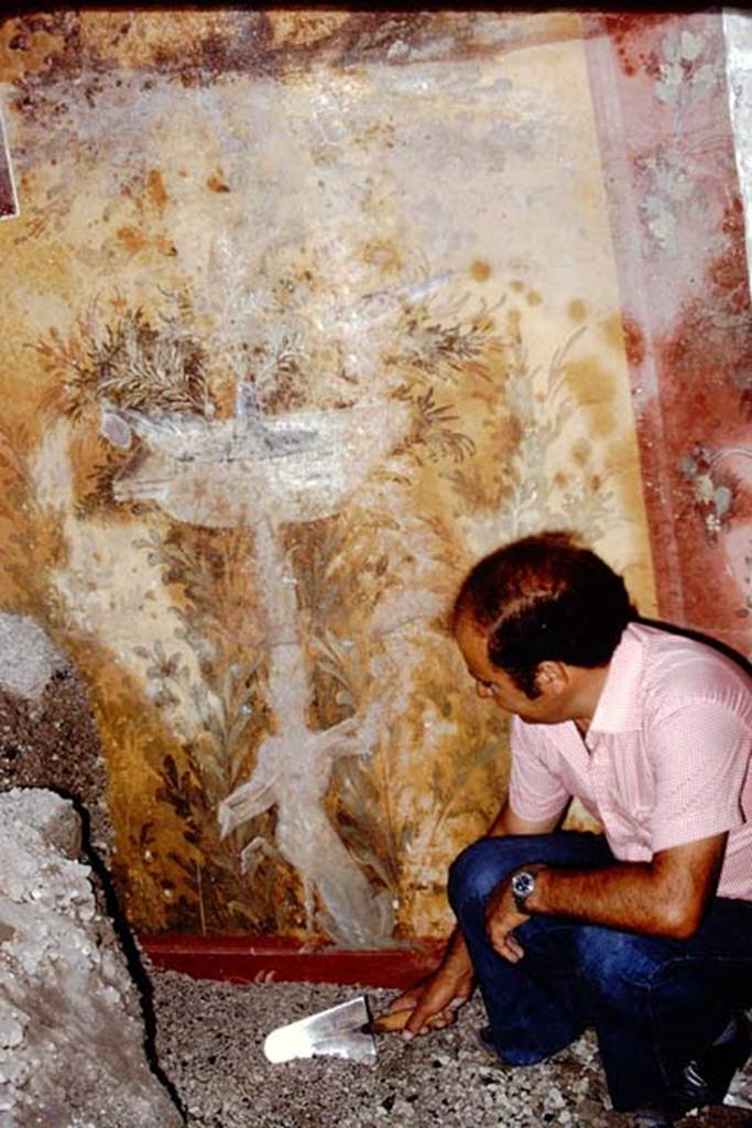 Oplontis, 1975. Room 68, wall painting of square fountain from the west wall at the northern end. Photo by Stanley A. Jashemski.   
Source: The Wilhelmina and Stanley A. Jashemski archive in the University of Maryland Library, Special Collections (See collection page) and made available under the Creative Commons Attribution-Non Commercial License v.4. See Licence and use details. J75f0293

