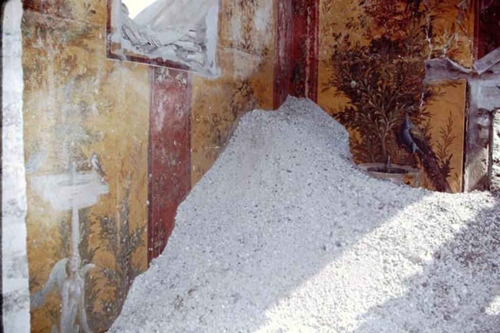 Oplontis, 1975. Room 70, west wall with window, north-west corner and north wall with painted peacock. Photo by Stanley A. Jashemski.
Source: The Wilhelmina and Stanley A. Jashemski archive in the University of Maryland Library, Special Collections (See collection page) and made available under the Creative Commons Attribution-Non Commercial License v.4. See Licence and use details. J75f0310