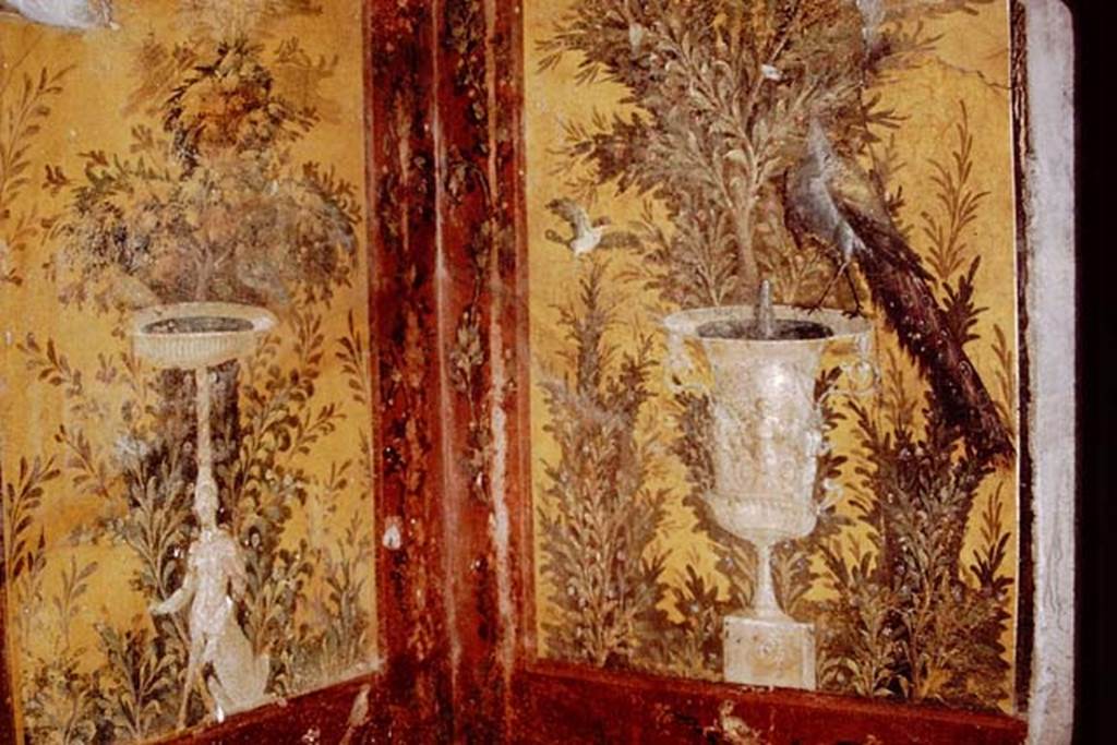 Oplontis, 1978. Room 70, north-west corner. Photo by Stanley A. Jashemski.
Source: The Wilhelmina and Stanley A. Jashemski archive in the University of Maryland Library, Special Collections (See collection page) and made available under the Creative Commons Attribution-Non Commercial License v.4. See Licence and use details. J78f0296