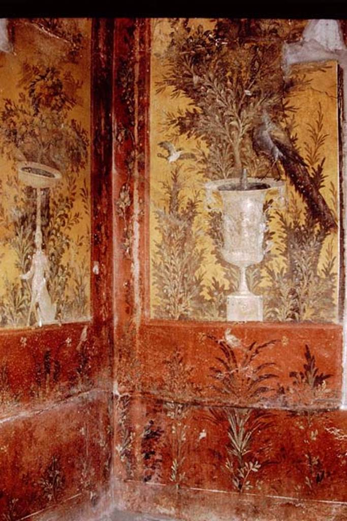 Oplontis, 1978. Room 70, zoccolo in north-west corner. Photo by Stanley A. Jashemski.
Source: The Wilhelmina and Stanley A. Jashemski archive in the University of Maryland Library, Special Collections (See collection page) and made available under the Creative Commons Attribution-Non Commercial License v.4. See Licence and use details.J78f0293