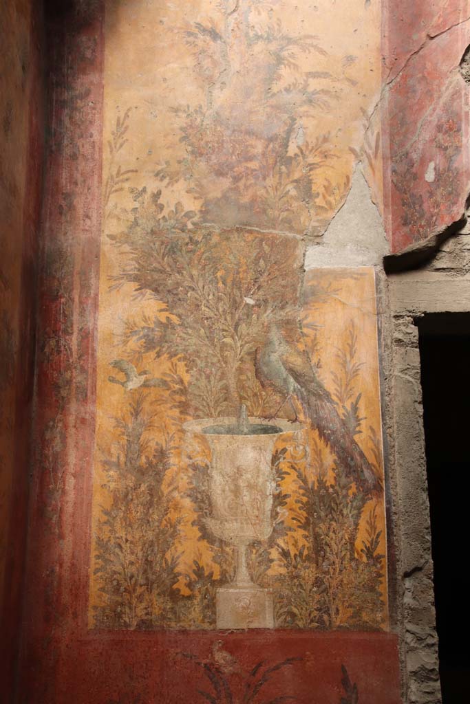 Oplontis Villa of Poppea, September 2021.
Room 70, looking towards north wall, and north-west corner. Photo courtesy of Klaus Heese.