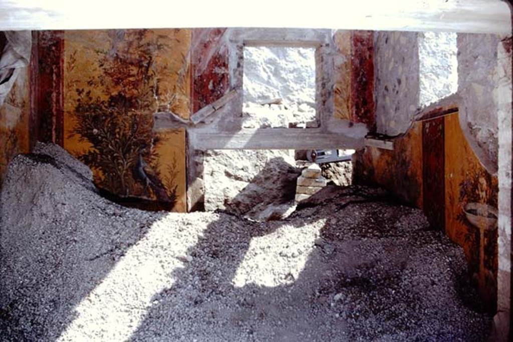 Oplontis, 1975. Room 70, looking towards north wall. Photo by Stanley A. Jashemski.
Source: The Wilhelmina and Stanley A. Jashemski archive in the University of Maryland Library, Special Collections (See collection page) and made available under the Creative Commons Attribution-Non Commercial License v.4. See Licence and use details. J75f0308