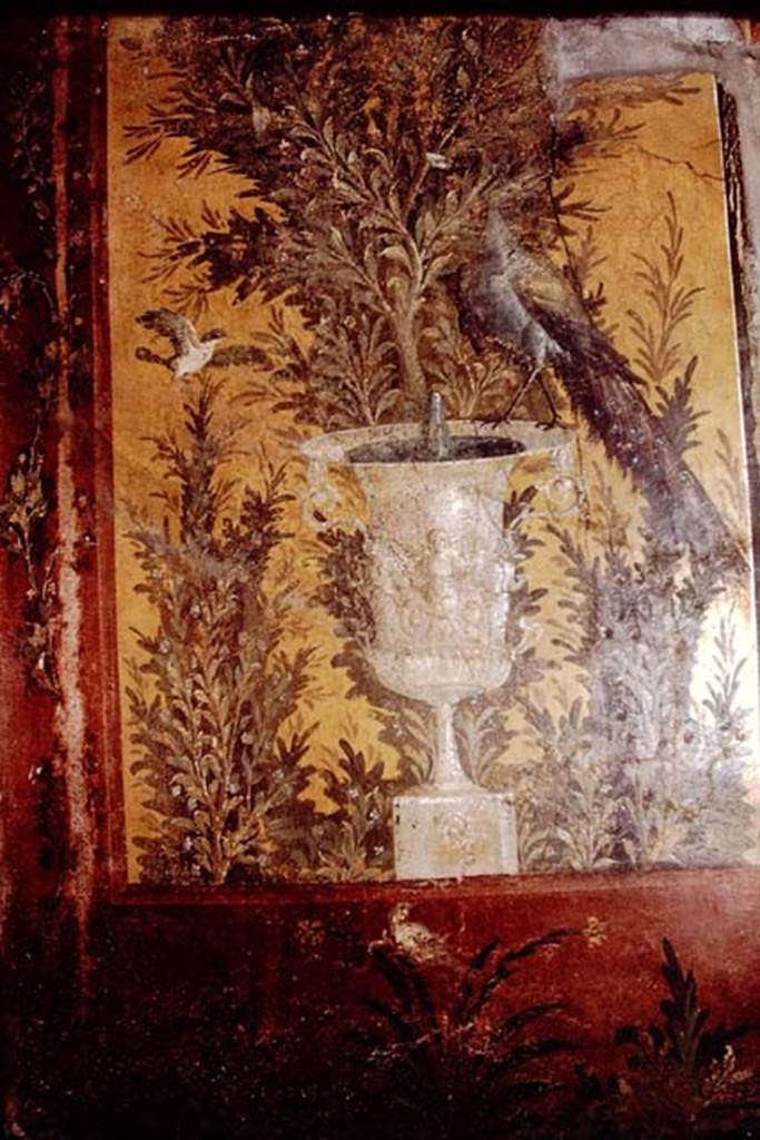 Oplontis, 1978. Room 70, peacock on fountain on west end of north wall. Photo by Stanley A. Jashemski.
Source: The Wilhelmina and Stanley A. Jashemski archive in the University of Maryland Library, Special Collections (See collection page) and made available under the Creative Commons Attribution-Non Commercial License v.4. See Licence and use details. J78f0285