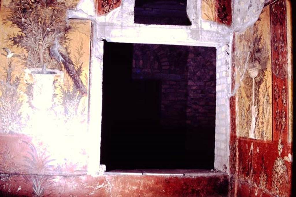 Oplontis, 1978. Room 70, looking towards window in north wall, and north-east corner. Through the window, the door to room 87 can be seen, across room 74. Photo by Stanley A. Jashemski.
Source: The Wilhelmina and Stanley A. Jashemski archive in the University of Maryland Library, Special Collections (See collection page) and made available under the Creative Commons Attribution-Non Commercial License v.4. See Licence and use details. J78f0321