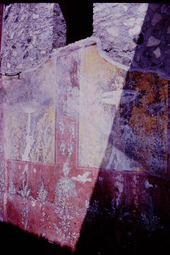 Oplontis, 1977. Room 70, looking north along east wall. Photo by Stanley A. Jashemski.
Source: The Wilhelmina and Stanley A. Jashemski archive in the University of Maryland Library, Special Collections (See collection page) and made available under the Creative Commons Attribution-Non Commercial License v.4. See Licence and use details. J77f0372