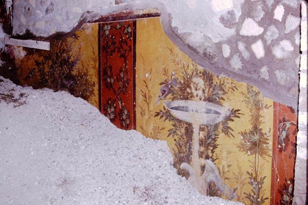 Oplontis, 1975. Room 70, east wall. Photo by Stanley A. Jashemski.
Source: The Wilhelmina and Stanley A. Jashemski archive in the University of Maryland Library, Special Collections (See collection page) and made available under the Creative Commons Attribution-Non Commercial License v.4. See Licence and use details. J75f0070