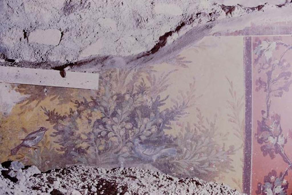 Oplontis, 1975. Room 70, east wall at north end. Photo by Stanley A. Jashemski.
Source: The Wilhelmina and Stanley A. Jashemski archive in the University of Maryland Library, Special Collections (See collection page) and made available under the Creative Commons Attribution-Non Commercial License v.4. See Licence and use details. J75f0059