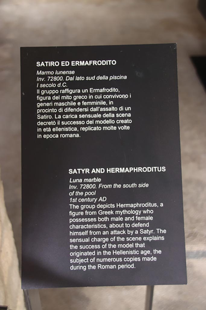 Villa of Poppaea, Oplontis, October 2023.
Room 74, description card for statue, inv. 72800. Photo courtesy of Klaus Heese.