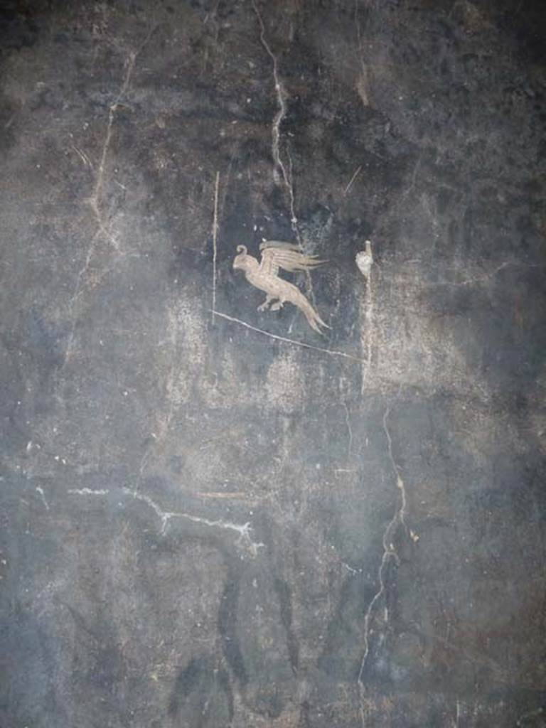 Oplontis, September 2015. Corridor 77, black middle panel, with black zoccolo below.