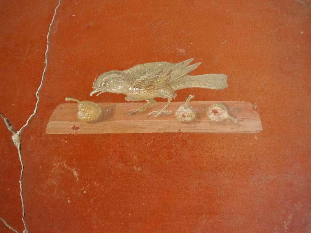 Oplontis Villa of Poppea, September 2018. Room 81, painted panel of bird pecking at fruit from north wall.
Foto Anne Kleineberg, ERC Grant 681269 DÉCOR.