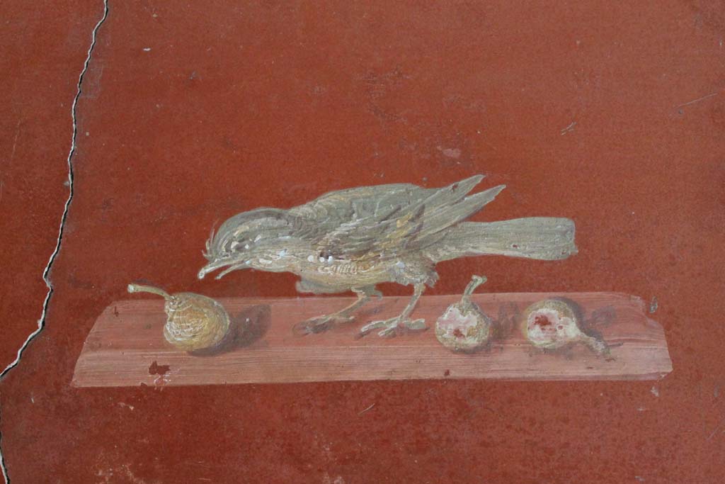 Oplontis Villa of Poppea, March 2014. Room 81, painted panel of bird pecking at fruit from north wall.
Foto Annette Haug, ERC Grant 681269 DÉCOR.