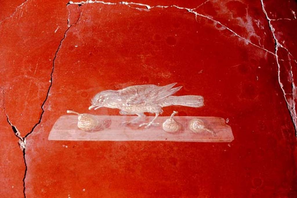 Oplontis, 1978. Room 81, bird and fruit. Photo by Stanley A. Jashemski.
Source: The Wilhelmina and Stanley A. Jashemski archive in the University of Maryland Library, Special Collections (See collection page) and made available under the Creative Commons Attribution-Non Commercial License v.4. See Licence and use details. J78f0357