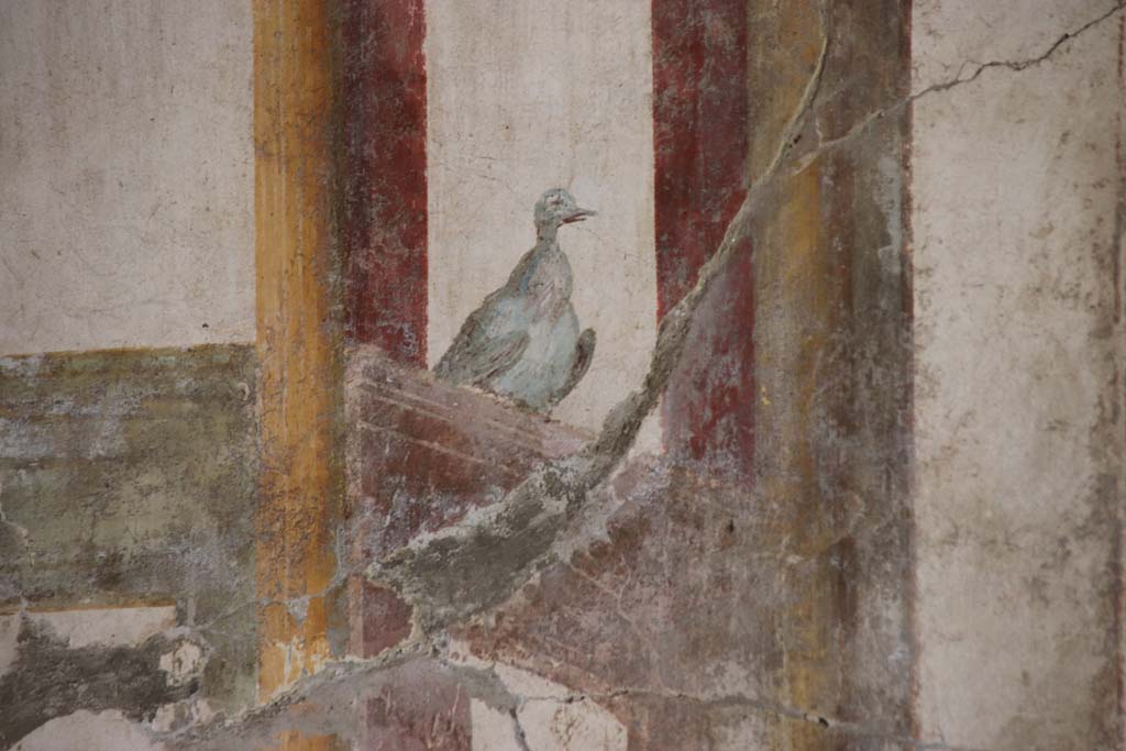 Oplontis Villa of Poppea, September 2021. Room 81, detail of dove from centre of south wall. Photo courtesy of Klaus Heese.