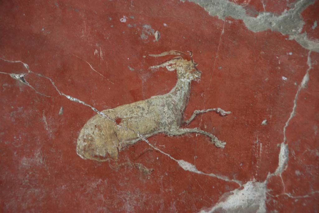 Oplontis Villa of Poppea, September 2021.
Room 81, detail of painted animal, goat or deer, from centre of south wall. Photo courtesy of Klaus Heese.