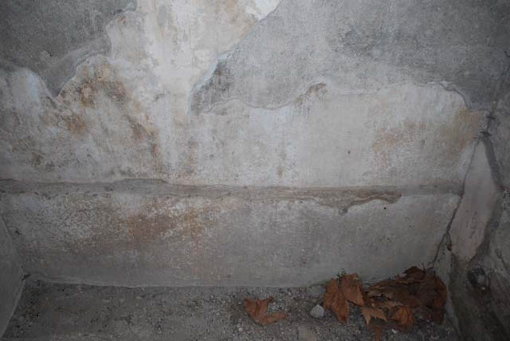 Oplontis Villa of Poppea, 2009. Room 84, north wall, lower half.
Photo courtesy of Drew Baker - from the King's College London, Villa of Oplontis Archive.