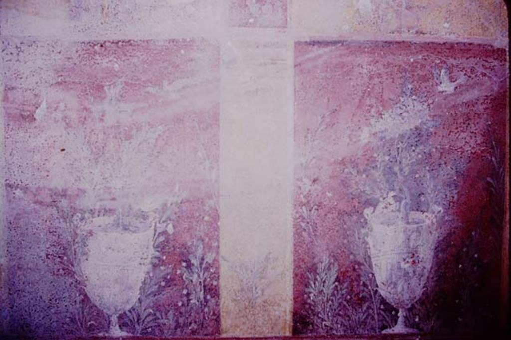 Oplontis, 1977. Room 87, west wall. Photo by Stanley A. Jashemski.
Source: The Wilhelmina and Stanley A. Jashemski archive in the University of Maryland Library, Special Collections (See collection page) and made available under the Creative Commons Attribution-Non Commercial License v.4. See Licence and use details. J77f0380