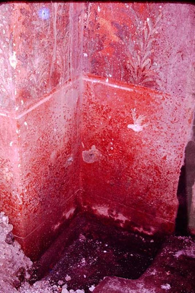 Oplontis, 1977. Room 87, painted south wall on east side of doorway to room 73.
Photo by Stanley A. Jashemski.
Source: The Wilhelmina and Stanley A. Jashemski archive in the University of Maryland Library, Special Collections (See collection page) and made available under the Creative Commons Attribution-Non Commercial License v.4. See Licence and use details. J77f0405