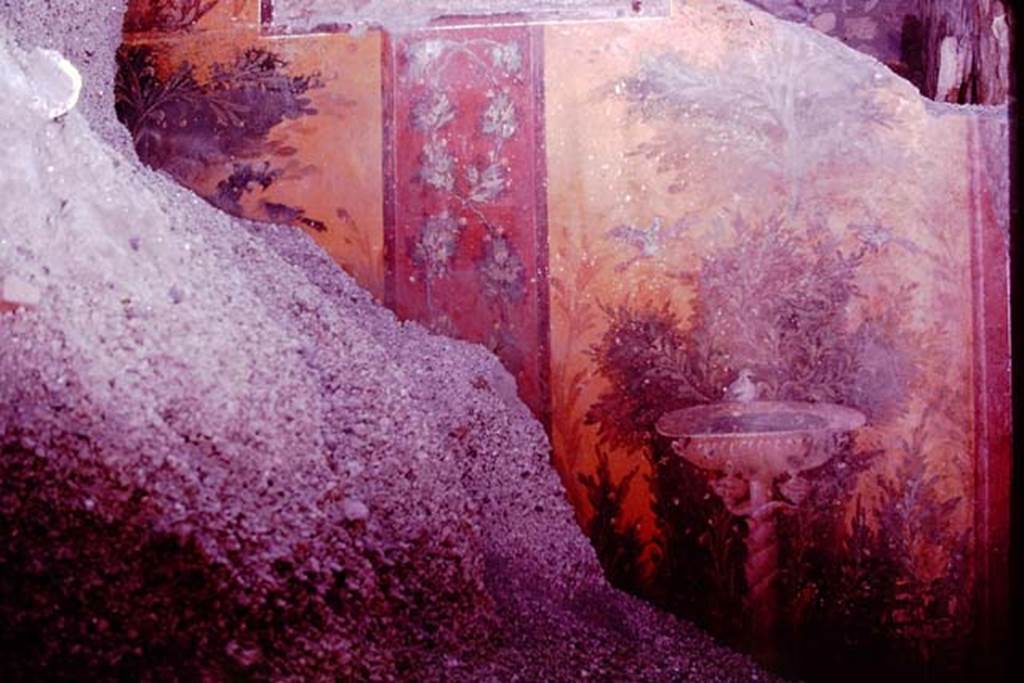 Oplontis, 1977. Room 87, east wall at time of excavation. Photo by Stanley A. Jashemski.
Source: The Wilhelmina and Stanley A. Jashemski archive in the University of Maryland Library, Special Collections (See collection page) and made available under the Creative Commons Attribution-Non Commercial License v.4. See Licence and use details. J77f0404