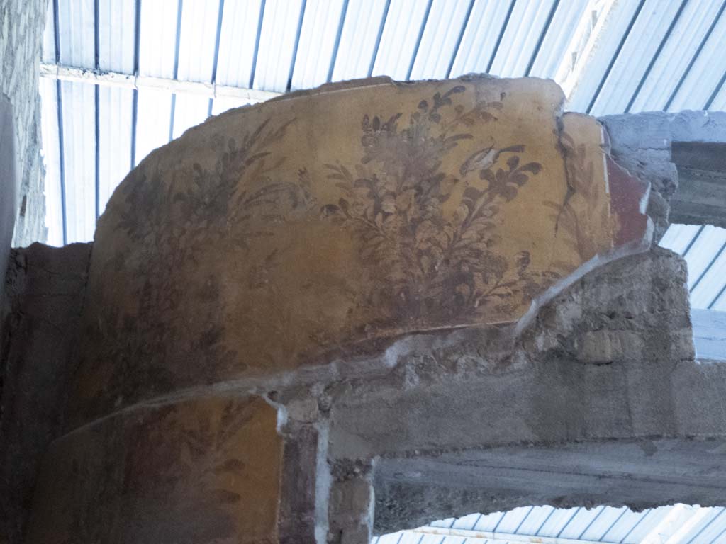 Oplontis Villa of Poppea, September 2017. Room 87, detail from west side of top of semi-circular window on north wall.
Foto Annette Haug, ERC Grant 681269 DÉCOR.