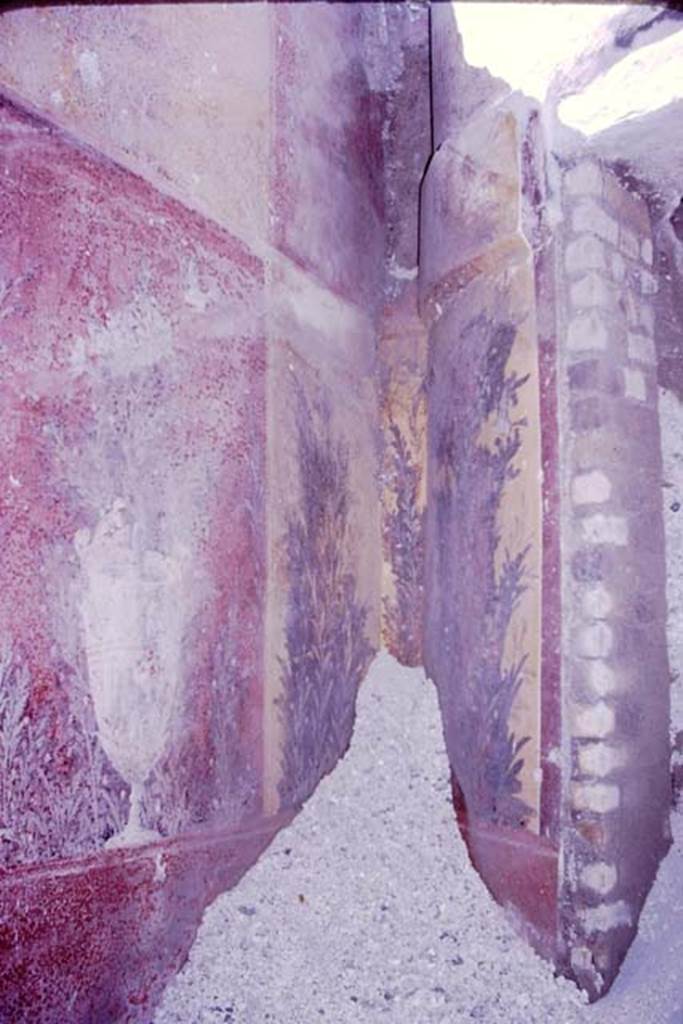 Oplontis, 1977. Room 87, painted wall decorations from north-west corner. Photo by Stanley A. Jashemski.
Source: The Wilhelmina and Stanley A. Jashemski archive in the University of Maryland Library, Special Collections (See collection page) and made available under the Creative Commons Attribution-Non Commercial License v.4. See Licence and use details. J77f0377