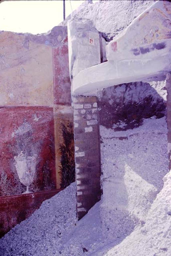 Oplontis, 1977. Room 87, on left, room 89 on right. Looking towards the north-west corner. Photo by Stanley A. Jashemski.
Source: The Wilhelmina and Stanley A. Jashemski archive in the University of Maryland Library, Special Collections (See collection page) and made available under the Creative Commons Attribution-Non Commercial License v.4. See Licence and use details. J77f0379