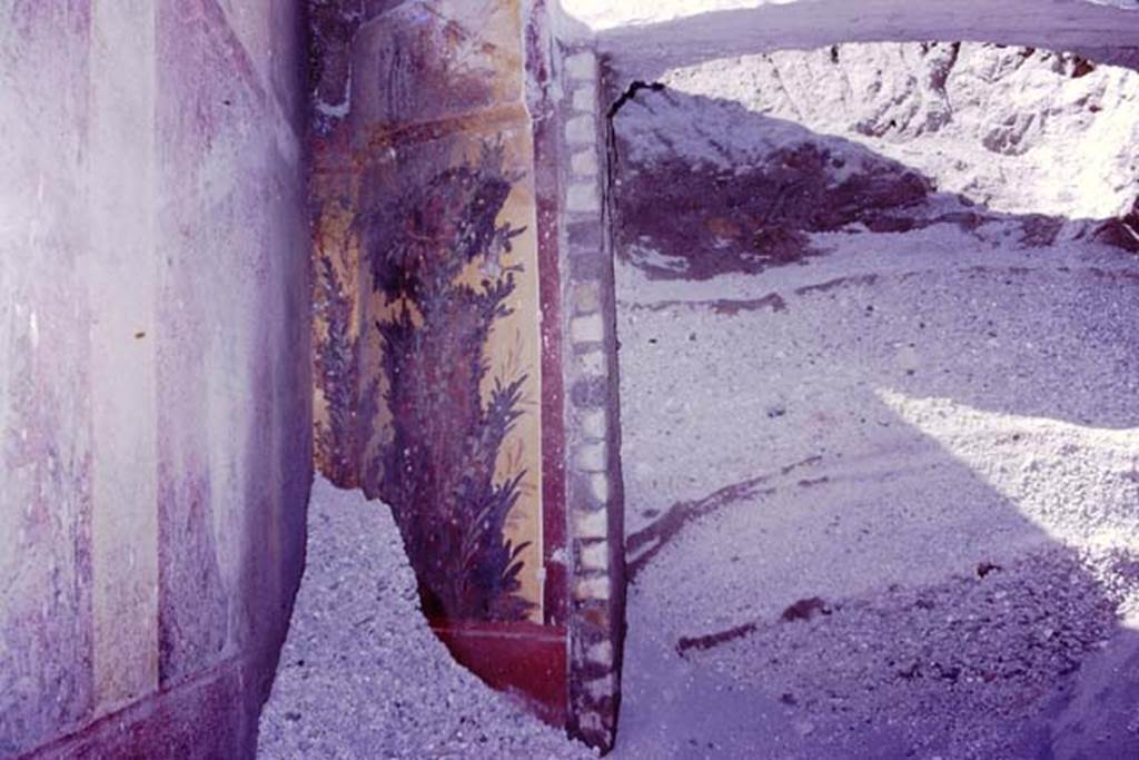 Oplontis, 1977. Room 87, looking north through semi-circular window into room 89, still under lapilli. Photo by Stanley A. Jashemski.
Source: The Wilhelmina and Stanley A. Jashemski archive in the University of Maryland Library, Special Collections (See collection page) and made available under the Creative Commons Attribution-Non Commercial License v.4. See Licence and use details. J77f0378