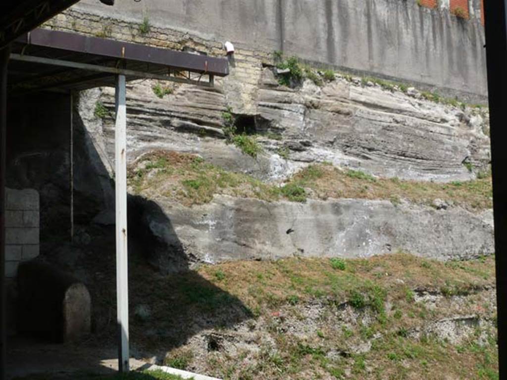Oplontis, May 2011. Looking north towards the northern edge of the pool and the pyroclastic debris layers clearly visible. Photo courtesy of Buzz Ferebee.
