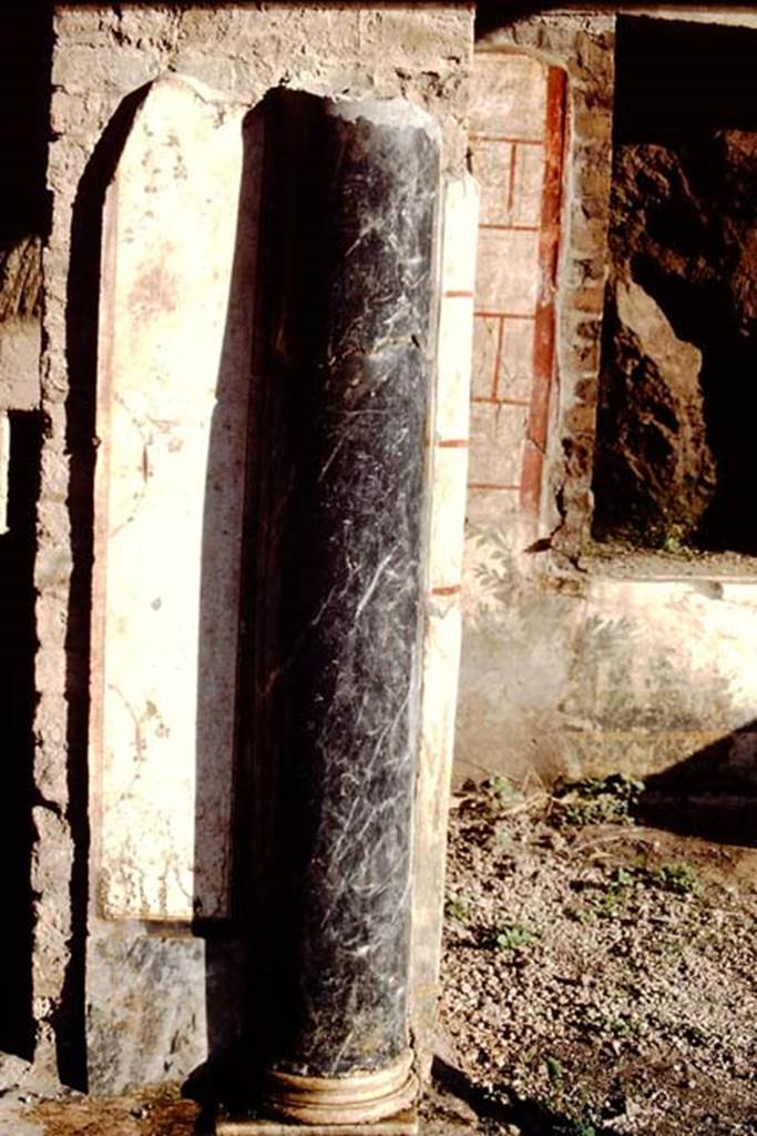 Oplontis, 1983 or 1984. Looking north to black marble column.
Source: The Wilhelmina and Stanley A. Jashemski archive in the University of Maryland Library, Special Collections (See collection page) and made available under the Creative Commons Attribution-Non Commercial License v.4. See Licence and use details. Oplo0070
