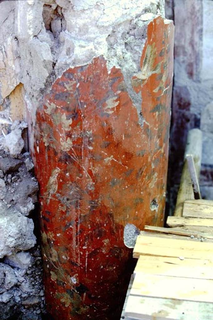 Oplontis, 1968. Room 20, possibly the column from south-east side of the enclosed garden. Photo by Stanley A. Jashemski.
Source: The Wilhelmina and Stanley A. Jashemski archive in the University of Maryland Library, Special Collections (See collection page) and made available under the Creative Commons Attribution-Non Commercial License v.4. See Licence and use details. J68f1444