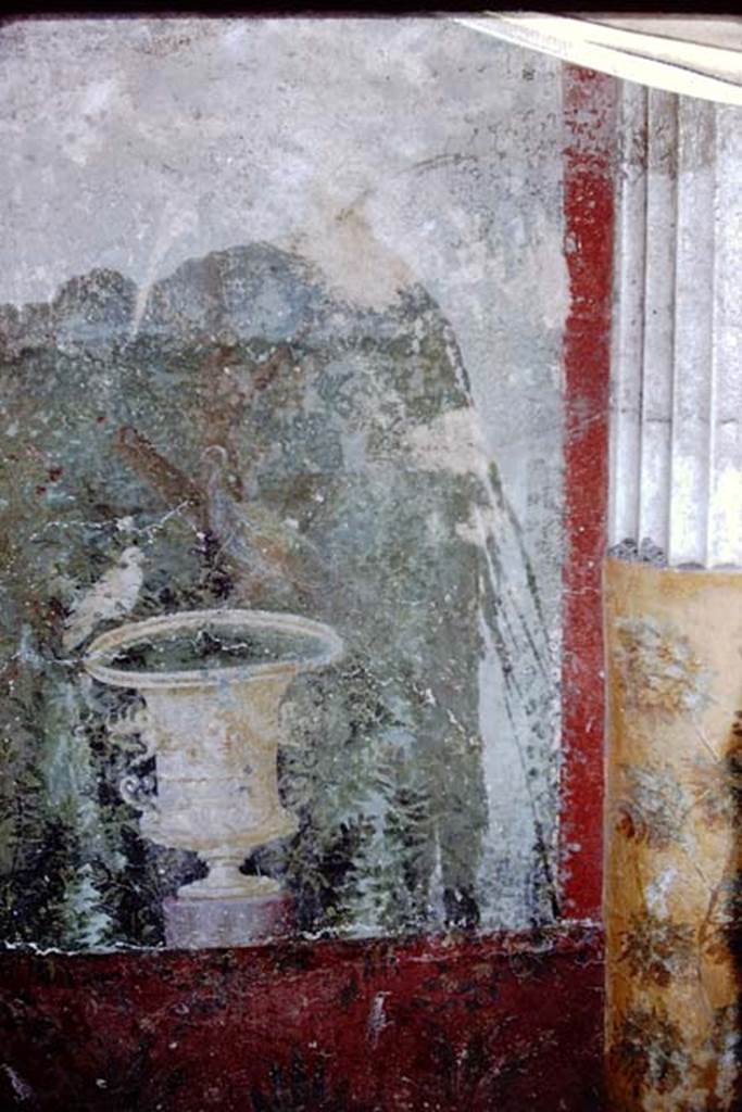 Oplontis, 1968. Room 20, “Cleaned” centre panel from west wall of bird and crater fountain. Photo by Stanley A. Jashemski.
Source: The Wilhelmina and Stanley A. Jashemski archive in the University of Maryland Library, Special Collections (See collection page) and made available under the Creative Commons Attribution-Non Commercial License v.4. See Licence and use details. J68f1438