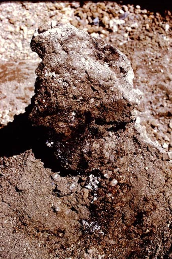 Oplontis, 1974. Photo by Stanley A. Jashemski.   
Source: The Wilhelmina and Stanley A. Jashemski archive in the University of Maryland Library, Special Collections (See collection page) and made available under the Creative Commons Attribution-Non Commercial License v.4. See Licence and use details. J74f0175
