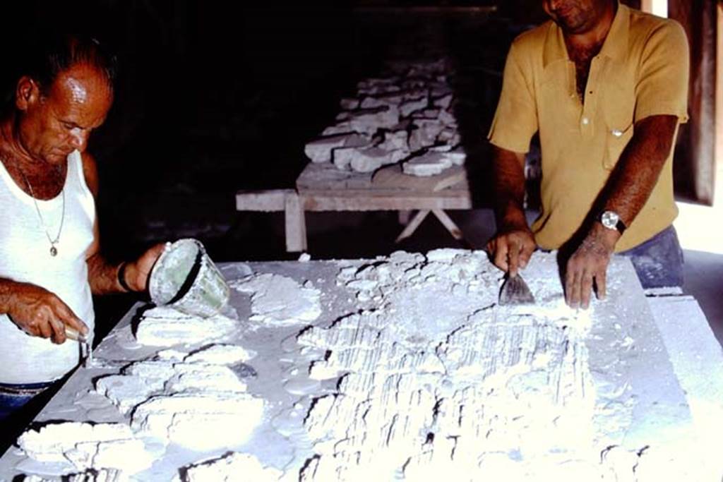 Oplontis Villa of Poppea, 1975 or 1974. Concentration while restoring. Photo by Stanley A. Jashemski.   
Source: The Wilhelmina and Stanley A. Jashemski archive in the University of Maryland Library, Special Collections (See collection page) and made available under the Creative Commons Attribution-Non Commercial License v.4. See Licence and use details. J74f0879
According to Wilhelmina – “The restorers were anxious to show us the small fragments of painted ceiling plaster that had been retrieved from the lapilli in a recently excavated room. The plaster had fallen when the panels of tied reeds, to which the plaster had been applied, had been consumed by the eruption. The only clue the restorers had in solving this gigantic jigsaw puzzle were the imprints of the reeds in the plaster, and their uncanny skill. They later showed us a portion of the ceiling that had been put back together in its original position, and the painted design on the ceiling was intact. “
