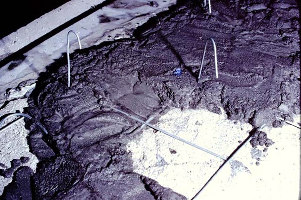 Oplontis Villa of Poppea, 1975 or 1974. Detail from above photo. Photo by Stanley A. Jashemski.   
Source: The Wilhelmina and Stanley A. Jashemski archive in the University of Maryland Library, Special Collections (See collection page) and made available under the Creative Commons Attribution-Non Commercial License v.4. See Licence and use details. J74f0889
