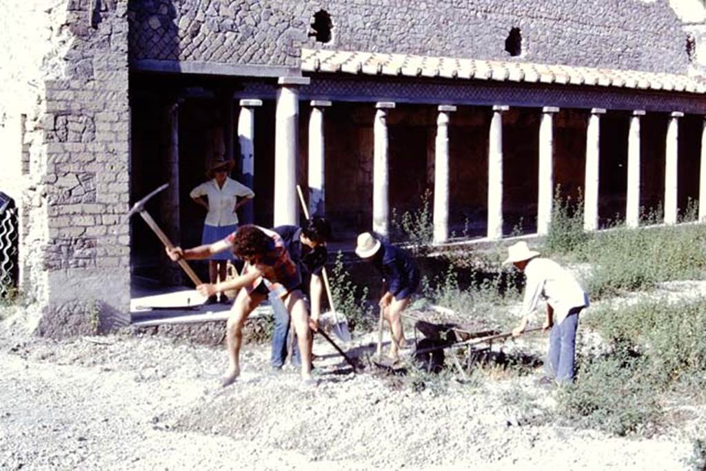 Oplontis Villa of Poppea, 1975 or 1974. Start of work in north garden again, near the huge root cavity found the previous year. Photo by Stanley A. Jashemski.   
Source: The Wilhelmina and Stanley A. Jashemski archive in the University of Maryland Library, Special Collections (See collection page) and made available under the Creative Commons Attribution-Non Commercial License v.4. See Licence and use details. J74f0893
