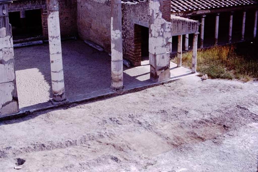 Oplontis, 1975. Looking south-west towards room 21, the grand salon, across cleared and excavated area, showing the pathways at the central axis of the villa. 
Photo by Stanley A. Jashemski.   
Source: The Wilhelmina and Stanley A. Jashemski archive in the University of Maryland Library, Special Collections (See collection page) and made available under the Creative Commons Attribution-Non Commercial License v.4. See Licence and use details. J75f0064
According to Wilhelmina – “the beautiful perspective through the atrium (room 5) continued through the enclosed garden (room 20) and the grand salon (room 21), with its monumental entrance at the rear, to a landscaped passageway on the central axis of the villa.”
