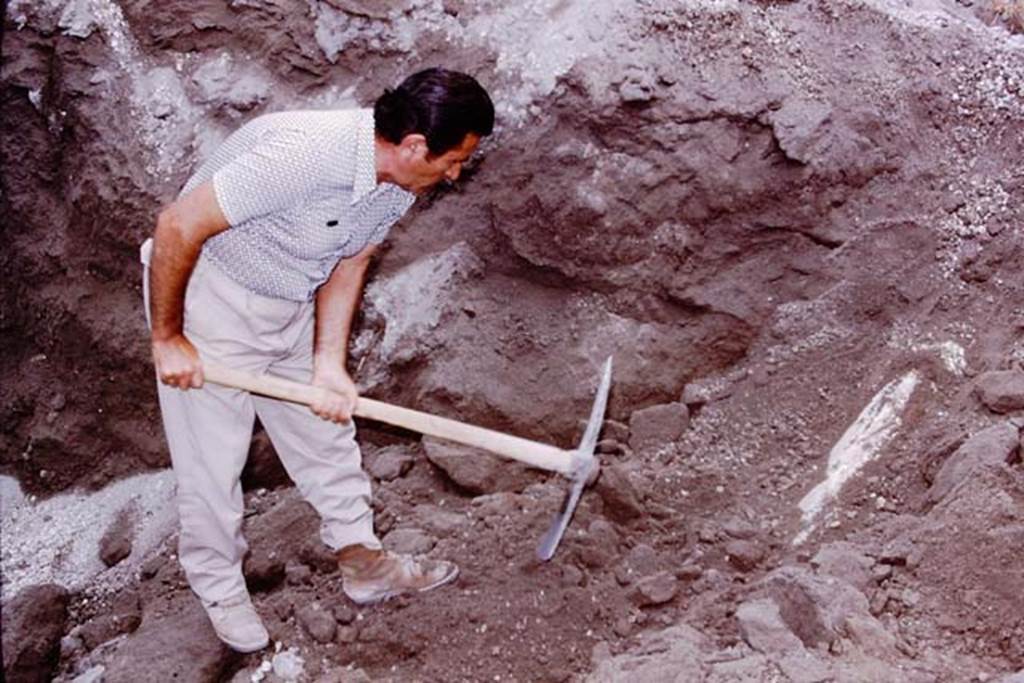 Oplontis, 1975. Discovery. Photo by Stanley A. Jashemski.   
Source: The Wilhelmina and Stanley A. Jashemski archive in the University of Maryland Library, Special Collections (See collection page) and made available under the Creative Commons Attribution-Non Commercial License v.4. See Licence and use details. J75f0072
