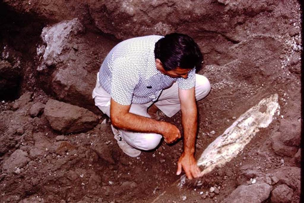 Oplontis, 1975. It’s a column ! Photo by Stanley A. Jashemski.   
Source: The Wilhelmina and Stanley A. Jashemski archive in the University of Maryland Library, Special Collections (See collection page) and made available under the Creative Commons Attribution-Non Commercial License v.4. See Licence and use details. J75f0073
