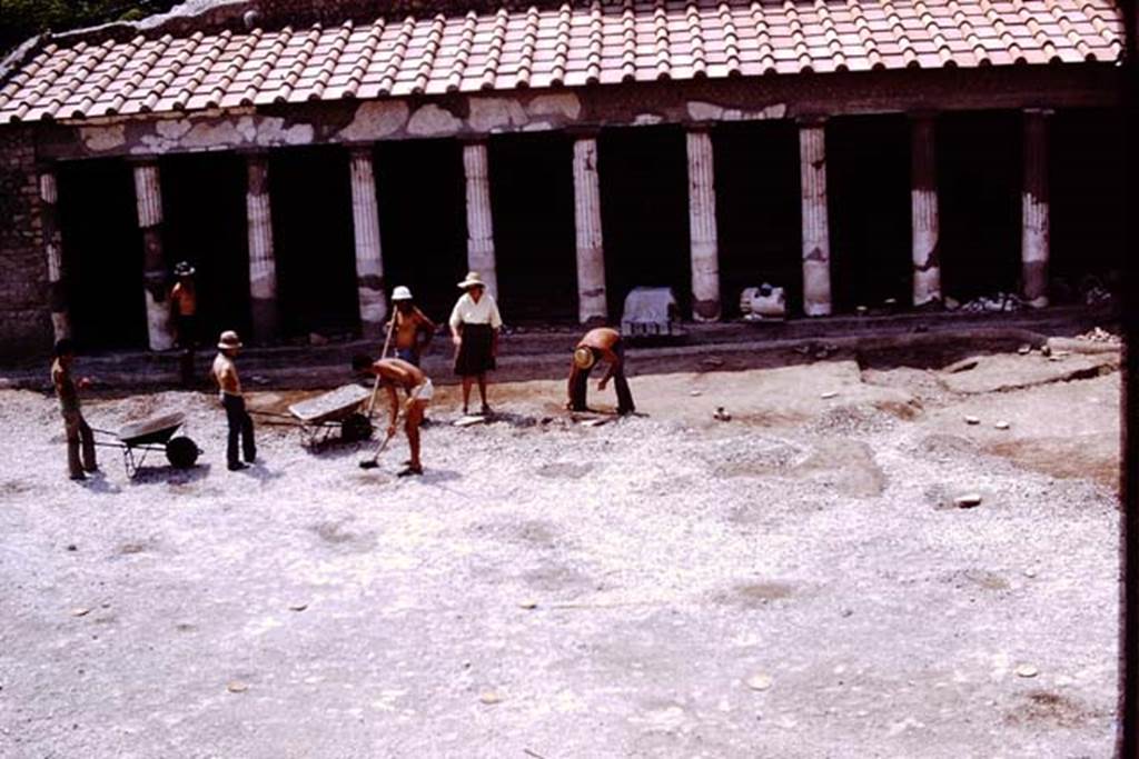 Oplontis, 1975. Looking towards the west side of area 59, the south-east peristyle. Photo by Stanley A. Jashemski.   
Source: The Wilhelmina and Stanley A. Jashemski archive in the University of Maryland Library, Special Collections (See collection page) and made available under the Creative Commons Attribution-Non Commercial License v.4. See Licence and use details. J75f0121

