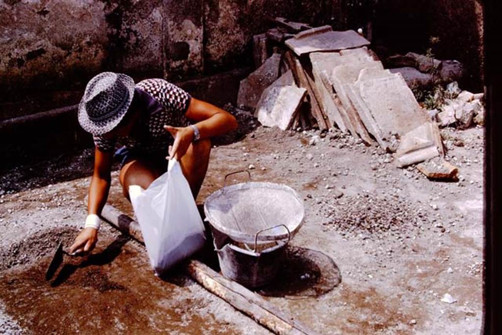 Oplontis, 1975. South-west corner of north garden. Photo by Stanley A. Jashemski.   
Source: The Wilhelmina and Stanley A. Jashemski archive in the University of Maryland Library, Special Collections (See collection page) and made available under the Creative Commons Attribution-Non Commercial License v.4. See Licence and use details. J75f0131

