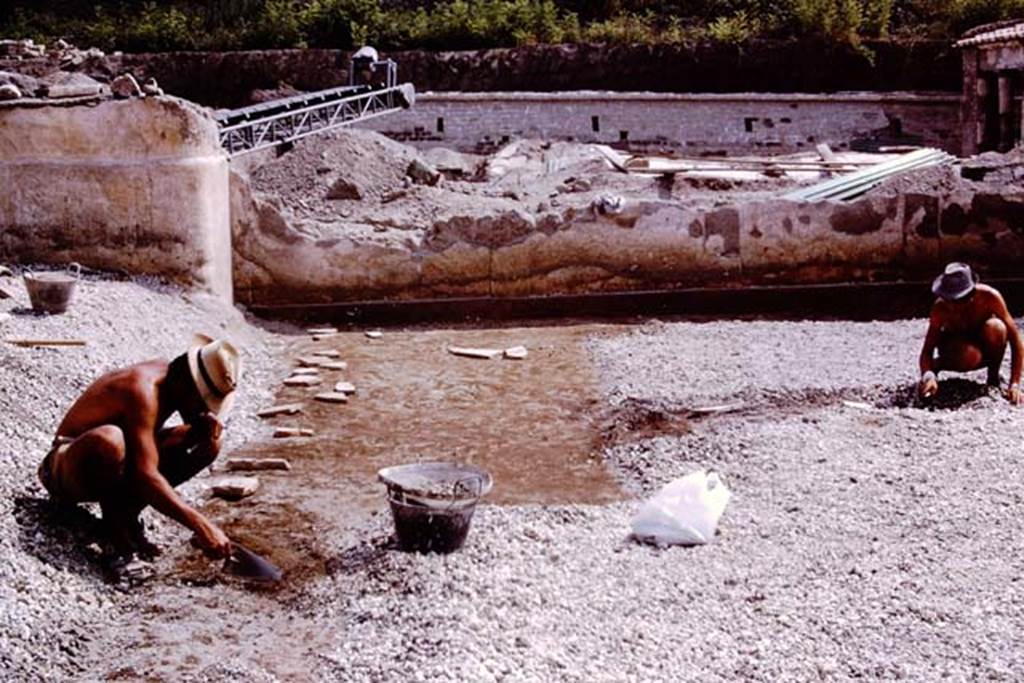 Oplontis, 1975. South-east corner of north garden. Photo by Stanley A. Jashemski.   
Source: The Wilhelmina and Stanley A. Jashemski archive in the University of Maryland Library, Special Collections (See collection page) and made available under the Creative Commons Attribution-Non Commercial License v.4. See Licence and use details. J75f0142
