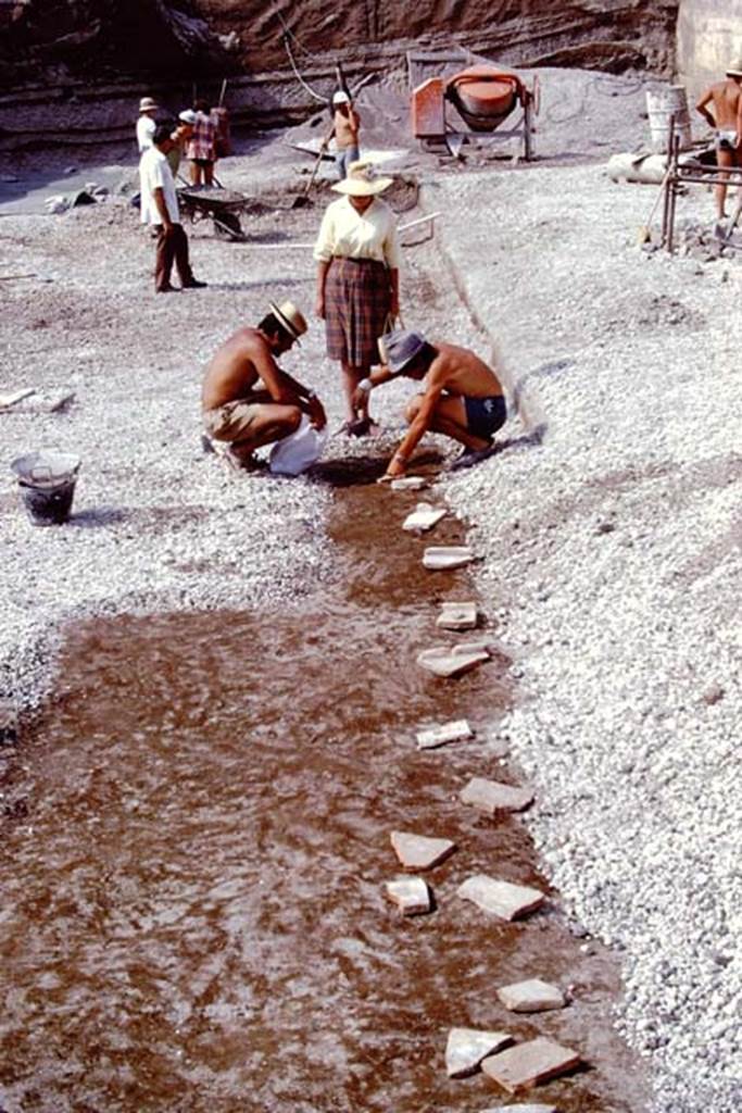 Oplontis, 1975. Looking north along line of root cavities on east side of north garden.  Photo by Stanley A. Jashemski.   
Source: The Wilhelmina and Stanley A. Jashemski archive in the University of Maryland Library, Special Collections (See collection page) and made available under the Creative Commons Attribution-Non Commercial License v.4. See Licence and use details. J75f0148
