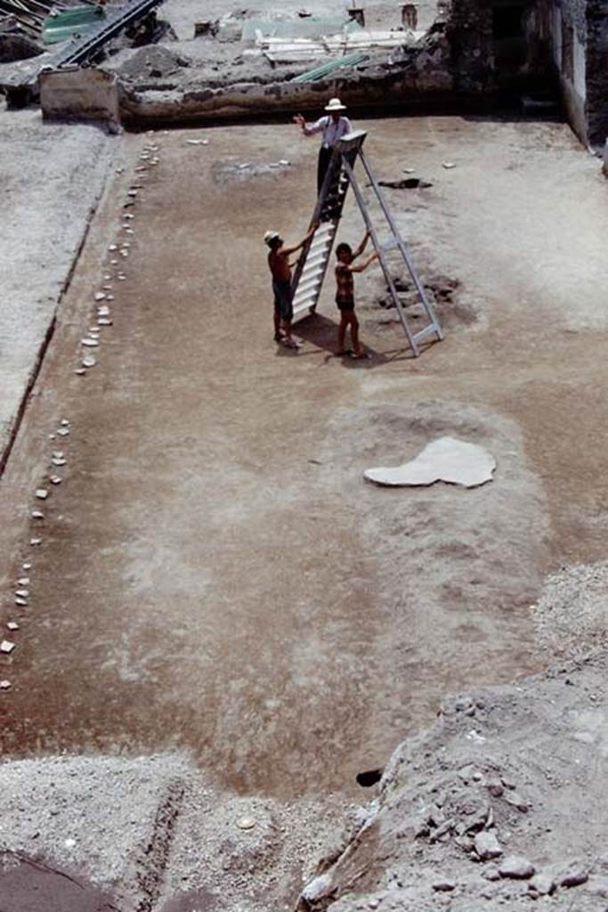 Oplontis, 1975. Stanley up a ladder, photographing root-cavities from above.    
Source: The Wilhelmina and Stanley A. Jashemski archive in the University of Maryland Library, Special Collections (See collection page) and made available under the Creative Commons Attribution-Non Commercial License v.4. See Licence and use details. J75f0228
